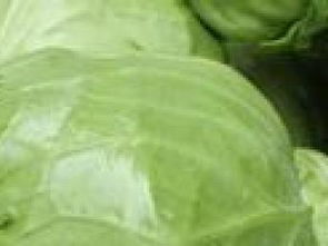 坪地農(nóng)產(chǎn)品配送 助力深圳生活品質(zhì)升級(jí)