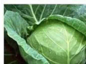 深圳農(nóng)產(chǎn)品配送服務(wù) 便捷生活與健康保障