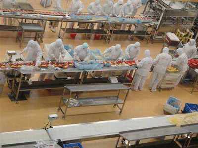 重慶銅梁出國務(wù)工 哪些國家農(nóng)產(chǎn)品領(lǐng)域收入最高？