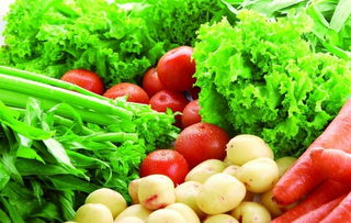 南湖區(qū)農(nóng)產(chǎn)品安全再升級(jí) 96家農(nóng)業(yè)主體實(shí)現(xiàn)100%可追溯