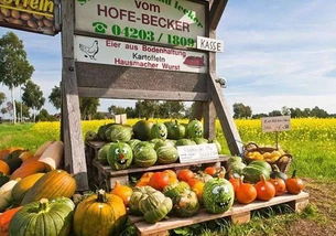 借鑒國外經(jīng)驗(yàn)，破解農(nóng)產(chǎn)品滯銷難題